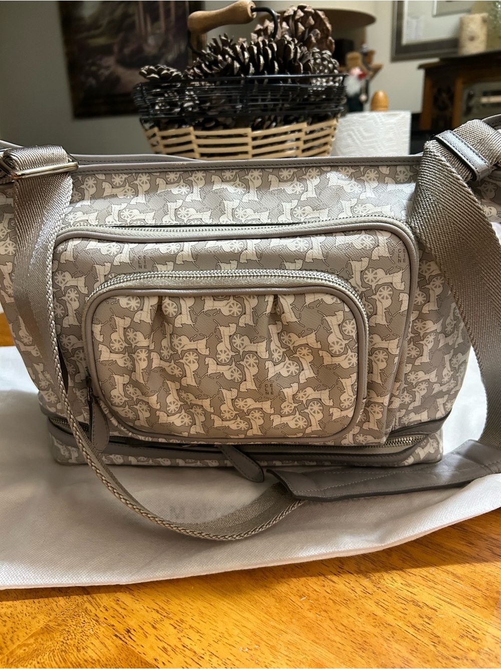 Celine x Ai Tominaga Bag